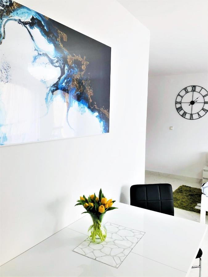 Kaliny Apartamenty Wanny Z Hydromasazem Chorzów Exteriér fotografie